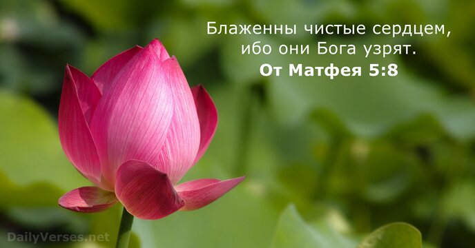 Чистые сердцем Бога узрят