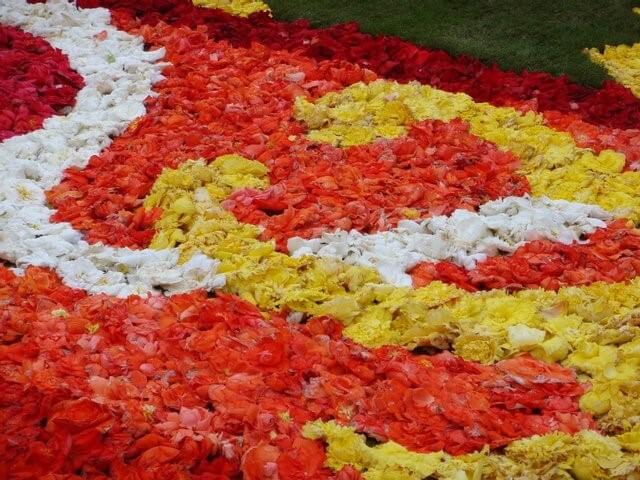 Belgia11